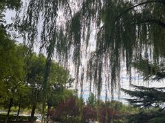 -太阳宫公园