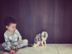 -Bastet sally猫舍购宠(静安店)