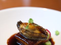 低温慢煮16小时鲍鱼东坡肉（8头）-觀芷隐轩