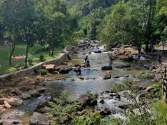 -广州白江湖森林公园