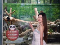 -灵玲国际马戏城