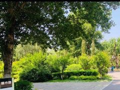 -长白岛森林公园