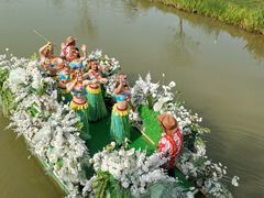 -荷兰花海