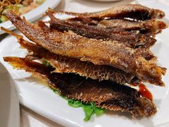 上海烤子鱼-顺风海鲜港(长寿路店)