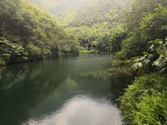 -紫云谷景区