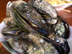 青口贝-胖大嫂渔家排档·全海景餐厅(渔村店)