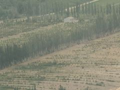 -银川河东国际机场