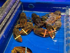 -万宝海鲜舫(劳动公园店)