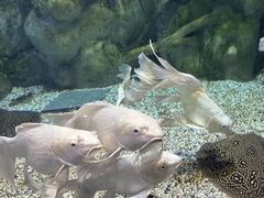 -正佳极地海洋世界
