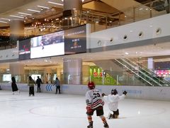 -TheRink大零溜冰场(IFS国金中心店)