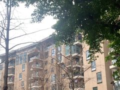 -龙湖·春森彼岸