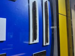 -上海昆虫博物馆