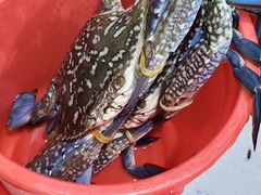 -北港方记海鲜楼·海景餐厅