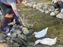 -HERRE·FARM 赫尔露营农场·团建聚会包场