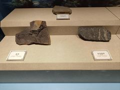 -辽宁古生物博物馆