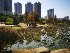 -飞来湖湿地公园