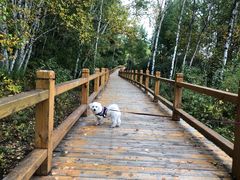 -塞罕坝国家级自然保护区