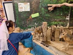 -正佳雨林生态植物园