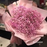 这家店虽然不是很大，但是花的品种很多