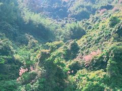 -浈阳坊旅游小镇