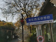 -西溪国家湿地公园