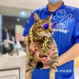 现在哪里还有超值洗护㊙️终于被我找到这家店啦‼️