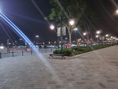 -迪士尼乐园停车场