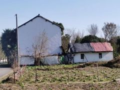 -广富林郊野公园