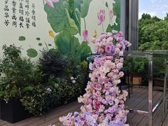 -颂福楼·南京菜(定淮门店)