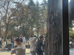 -鸡鸣汤包(红山动物园店)