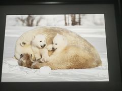 -罗红摄影艺术馆