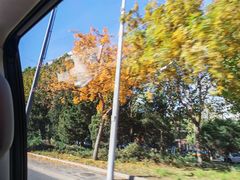 -金湖港式餐厅(建外店)