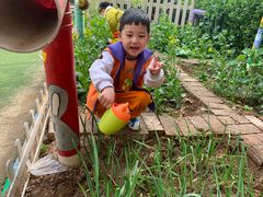 -吉的堡幼儿园(林隐天下园)