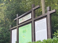 -镇江市南山风景名胜区竹林景区