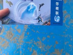 -芜湖新华联大白鲸海洋公园