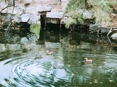 -钓鱼台国宾馆