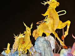 -淄博花灯齐彩城