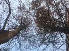 -上海财经大学(国定路校区)