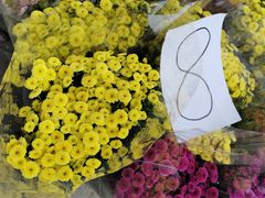 -三圣花乡旅游区