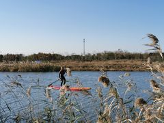 -春花秋色城市公园