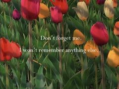 -长春公园(普阳街道)