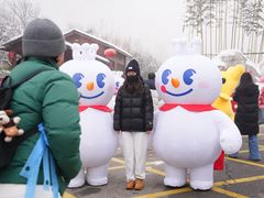 -少华山国家森林公园