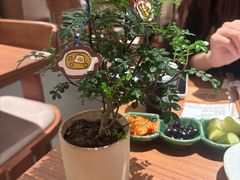 -CURRY YA 熟成咖哩專門店(深圳湾万象城店)