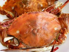 -北戴河庆山饭店·海鲜砂锅粥(北戴河黑石路店)