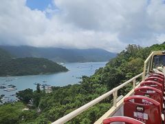 -Big Bus Tours 敞篷观光巴士