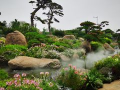 -罗红摄影艺术馆