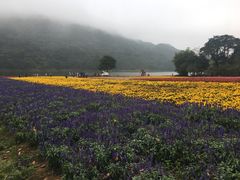-广州市石门国家森林公园