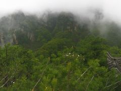 -王顺山国家森林公园