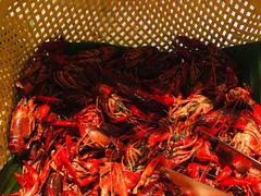 -上海锦江汤臣洲际大酒店壹阶层