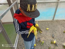 -萌宠亲子动物乐园(槐房万达店)